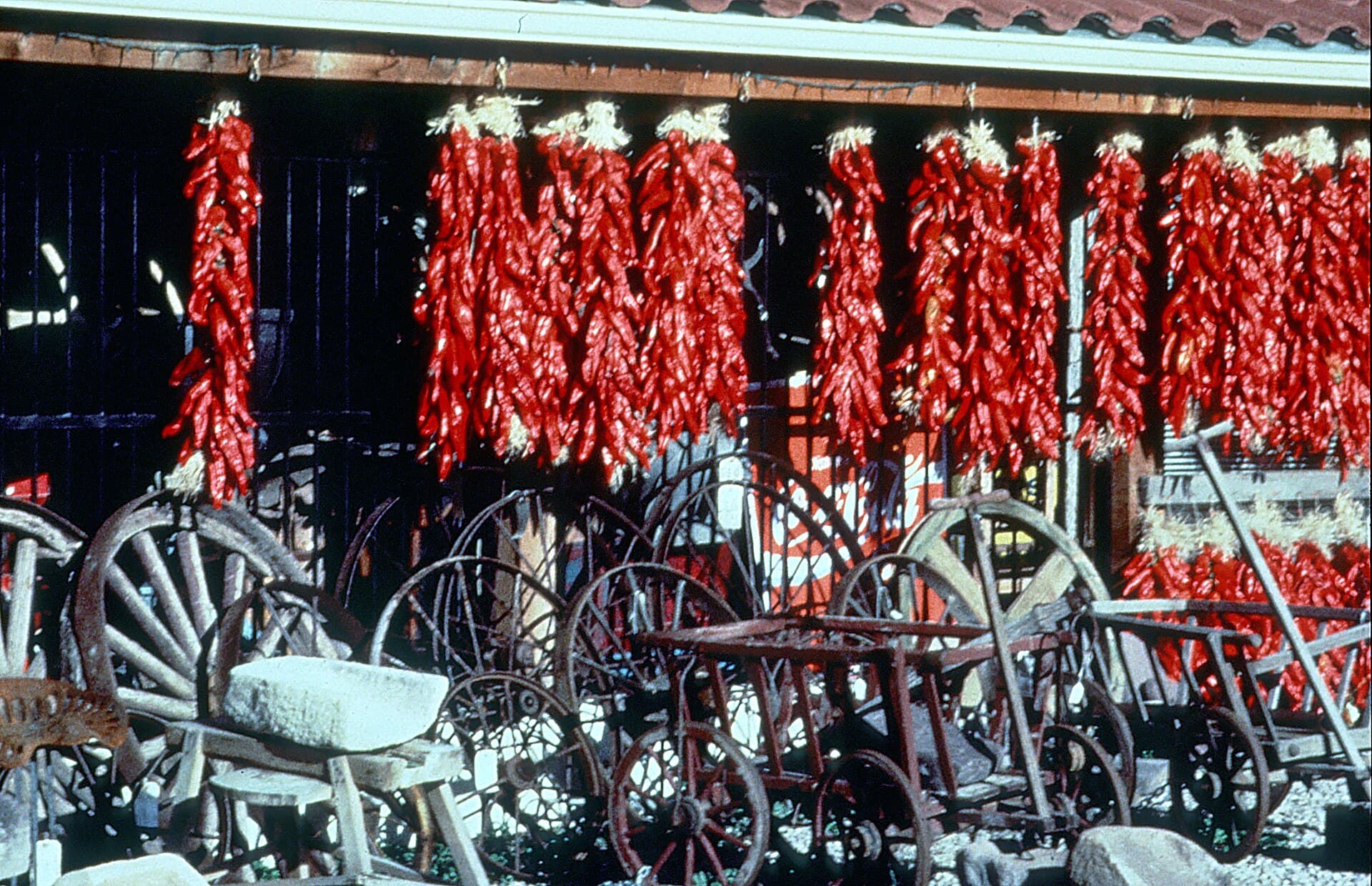 New Mexico chile ristras hanging outside a vendor stand