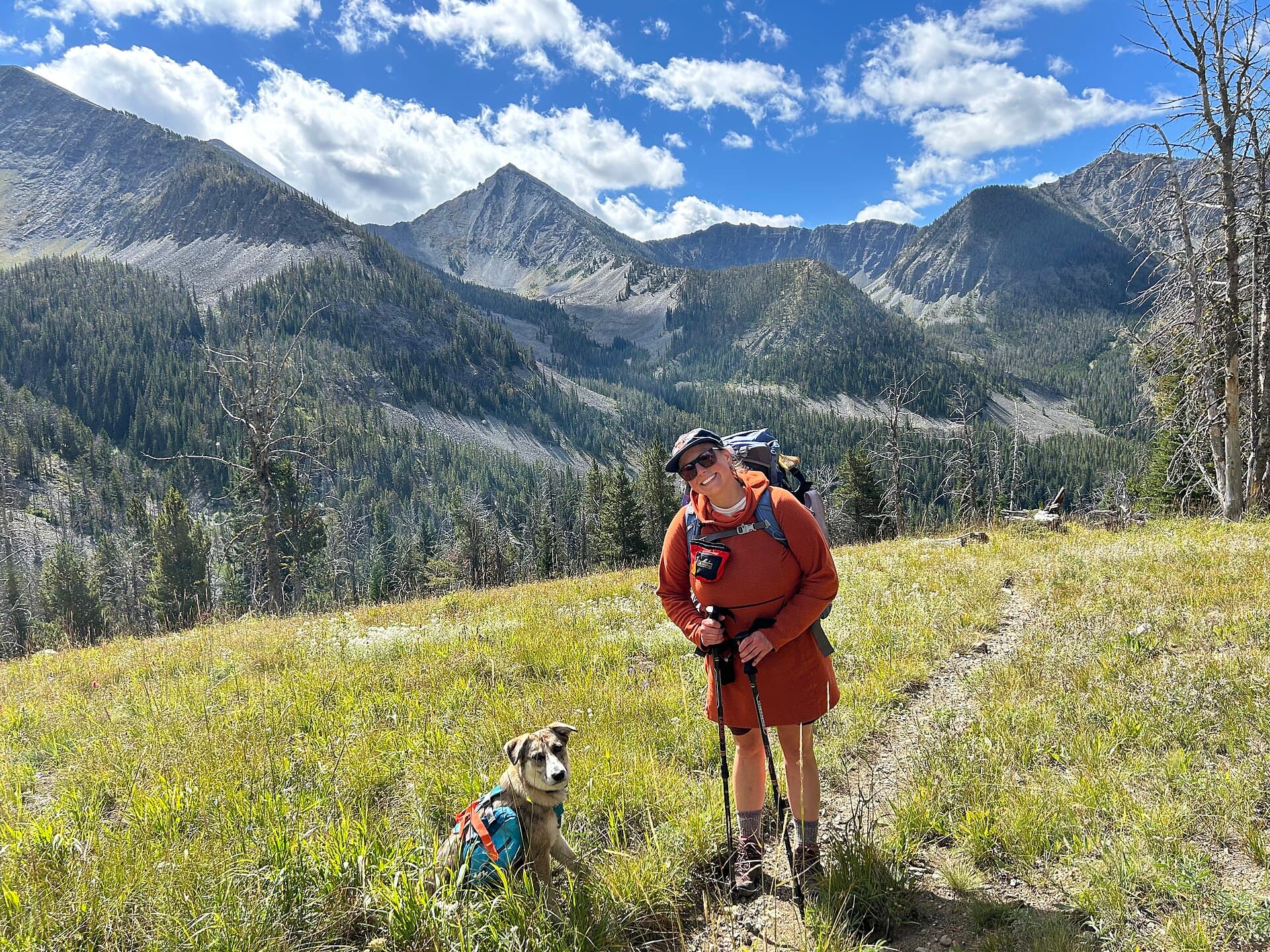 Dog-Friendly Ruidoso: Where to Bring Your Pup