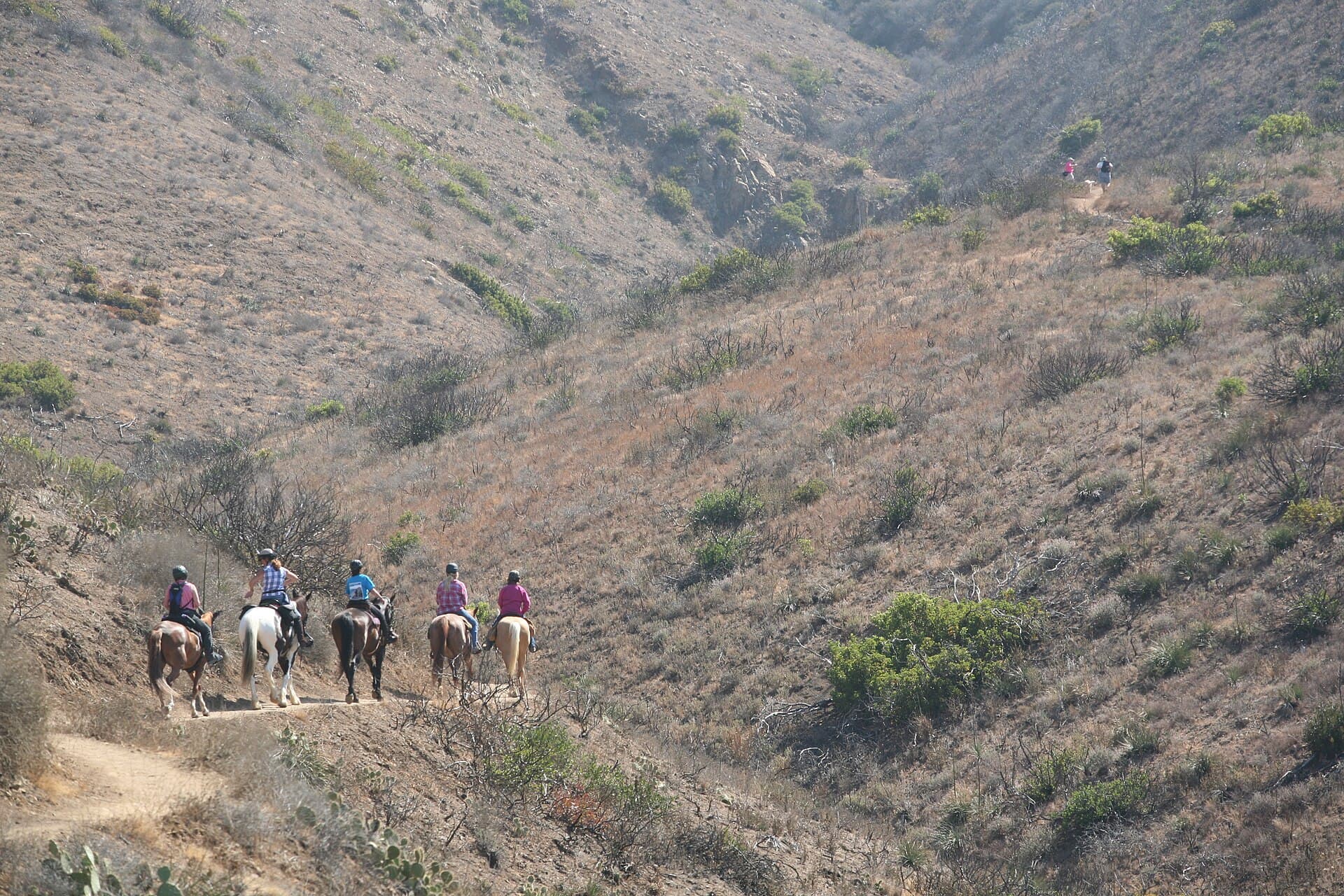 Riders on horseback on a mountain trail