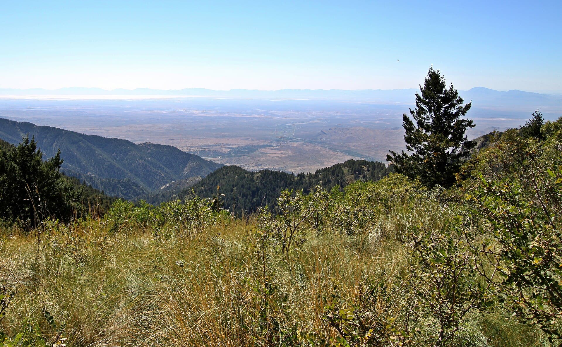 Looking out from the Crest Trail in the Lincoln National Forest