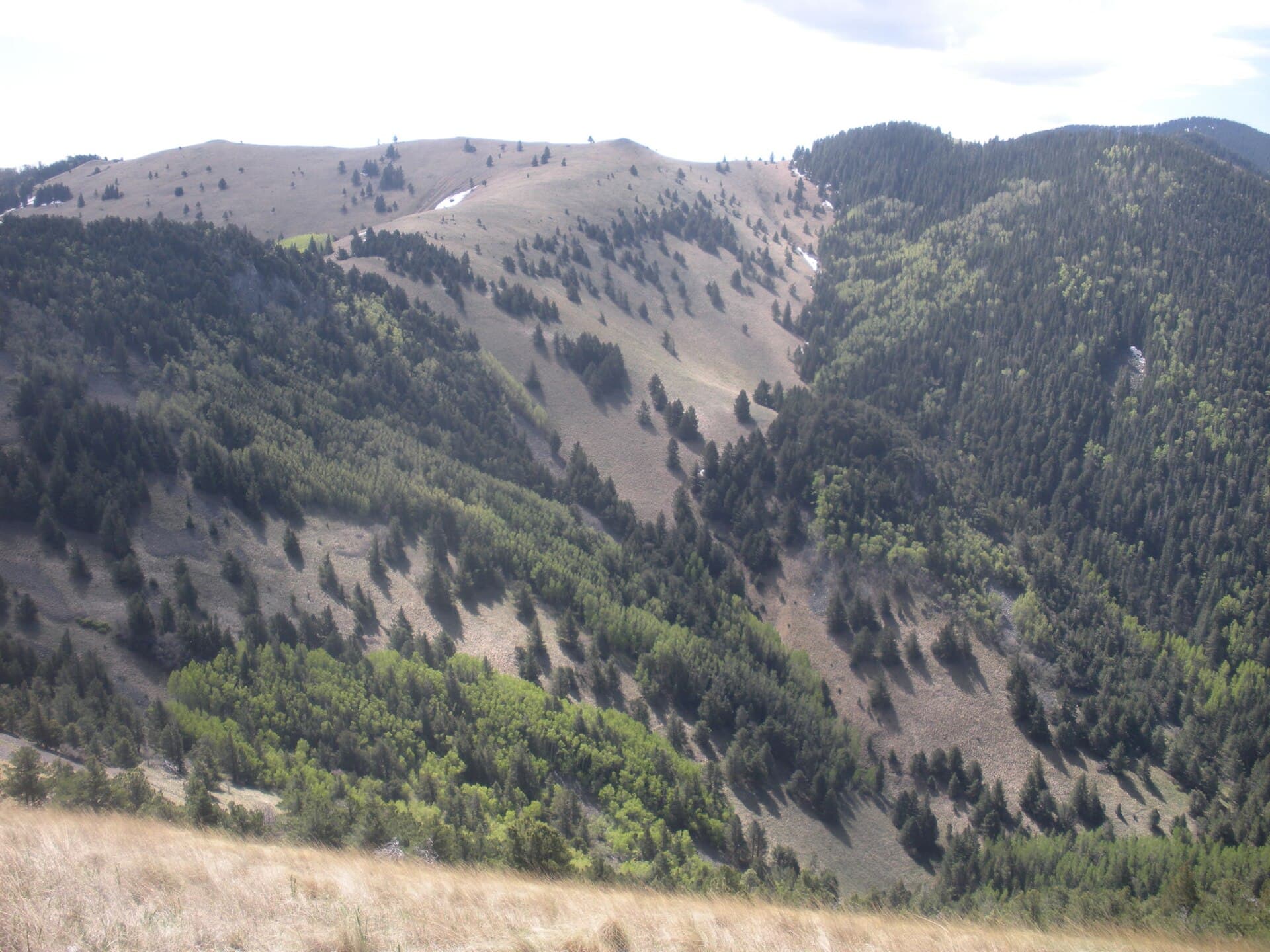 SxS and UTV Guide for Ruidoso: Rentals, Rules, and Where to Ride