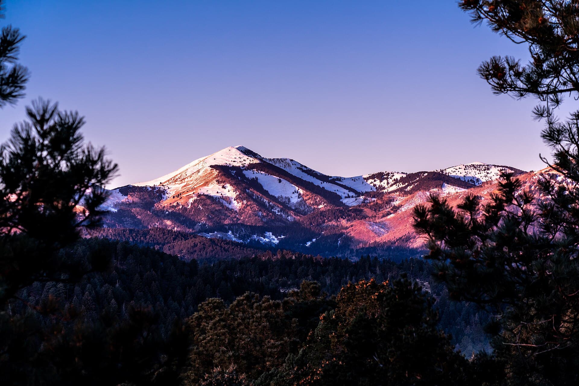 Sierra Blanca Peak at dawn, the 12,003-foot summit Ski Apache sits on