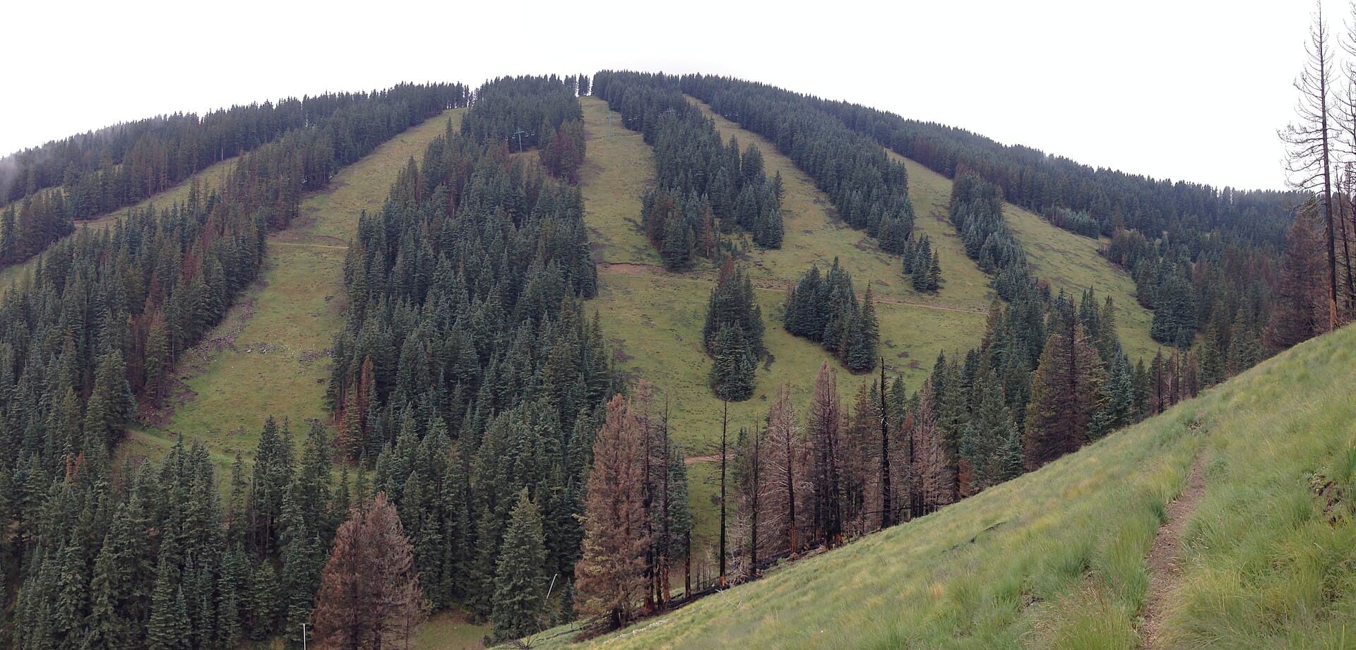 Is Ruidoso Safe to Visit? Fire Recovery Update 2026