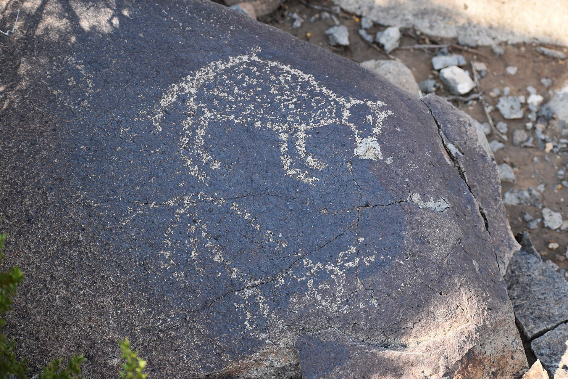 Petroglyphs at the Three Rivers Petroglyph Site