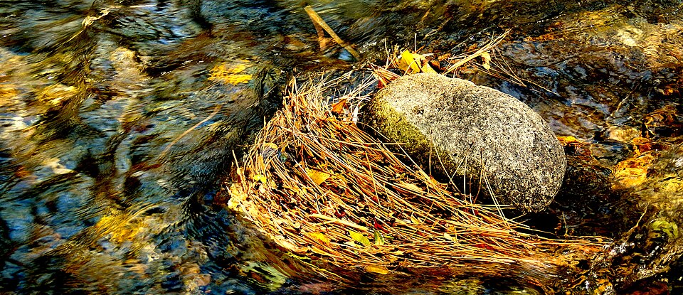 Grindstone Lake reflecting pine trees and peaks, Ruidoso NM